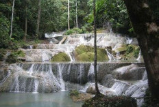 7 Tempat Wisata Alam di Sulawesi yang Belum Banyak Dijamah: Petualangan Tersembunyi di Pulau Celebes