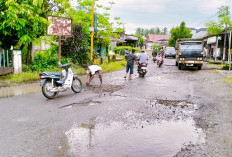 Kerap Menimbulkan Kecelakaan, Warga Lubuk Pinang Tambal Jalan Provinsi