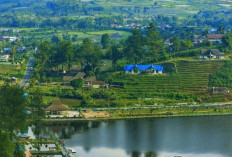 Danau Mas Harun Bastari Pesona Alam Bengkulu yang Memikat