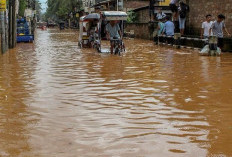 Mengatasi Masalah Air yang Menggenang: Pencegahan dan Solusi  ﻿