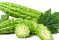 Banyak Orang yang Gak Suka dengan Makanan Pahit, 6 Makanan Pahit yang Sangat Bermanfaat Untuk Kesehatan