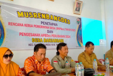 Tok! Pemdes Banjarsari Tetapkan RKPDes 2025