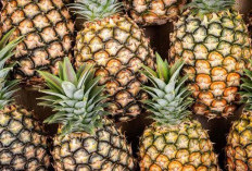 Manfaat Nanas untuk Kulit: Mencerahkan, Melembutkan, dan Melawan Penuaan Dini!