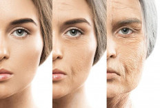 Anti-Aging Skincare: Kapan Harus Mulai dan Produk yang Direkomendasikan  ﻿