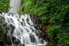 Dlundung Trawas Pesona Air Terjun Tersembunyi di Mojokerto