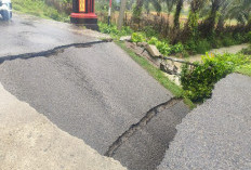 Jembatan Puyung Nenggalo Amblas Warga 4 Desa Lewat Jalan Alternatif 