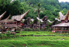 Rumah Adat Toraja: Arsitektur Megah dan Makna Budaya yang Mendalam