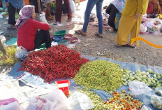 Harga Kebutuhan Pokok di Pasar Kamis Lubuk Pinang Mengalami Kenaikan