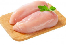 Perbedaan Dada Ayam Fillet dan Dada Ayam dengan Tulang: Mana yang Lebih Baik?