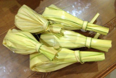 Keunikan Nasi Kuning Manado: Lebih dari Sekadar Warna, Ledakan Rasa di Setiap Sajian