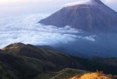 Menuju Puncak Keberkahan Menjelajahi Gunung Lawu, Sang Penjaga Kearifan Lokal