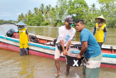 Nelayan Sedang Panen, Ikan Dijual Murah 