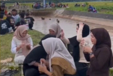 Persawahan di Sumber Makmur Mendadak Ramai Jadi Tempat Nongkrong 