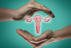 Kanker Serviks Jenis Kanker Paling Umum Pada Perempuan, Begini Cara Mengatasinya