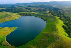 Kelezatan Sederhana di Tepi Danau Sentani: Menikmati Ikan Asin Goreng dengan Pemandangan Surga   ﻿