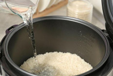 5 Tips Jitu Memasak Nasi di Rice Cooker agar Tidak Kuning, Basi, atau Gosong