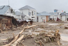 Banjir dan Longsor, Sumut, Sumbar dan Aceh Telan Ratusan Korban Jiwa