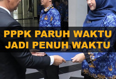 PPPK Paruh Waktu Sementara, Jika Pejabat Mau Maka Bisa Diangkat Penuh Waktu