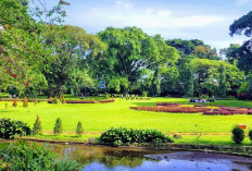 Harmoni Alam di Kebun Raya Bogor: Oase Kesejukan di Jantung Kota