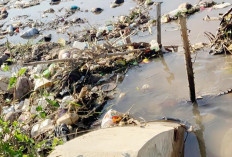 Air Irigasi Masuk, Sampah Mulai Menumpuk di Irigasi Sekunder Desa Ranah Karya dan Arah Tiga