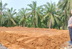 Bandar Jaya Kebut Realisasi Anggaran