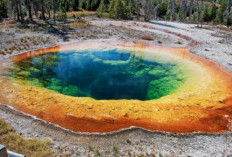 Grand Prismatic Spring Pelangi Tersembunyi di Yellowstone