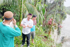 Curah Hujan Tinggi, Rumah Warga Terancam Longsor