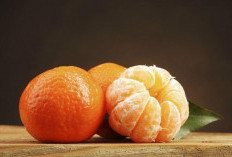 Segarnya Jeruk Indonesia, Sumber Kesehatan Alami: Vitamin C dan Nutrisi Luar Biasa untuk Tubuh Prima!