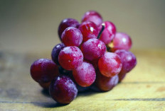 Batas Aman Konsumsi Anggur Merah: Nikmati Manfaatnya Tanpa Efek Samping!