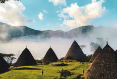 Eksplorasi Desa Adat Wae Rebo, Flores: Menemukan Kedamaian di Atas Awan   ﻿