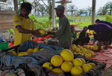 Modal Rp5 juta, Dalam 63 Hari Menjadi Rp16 juta, Begini Caranya