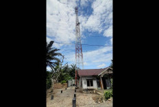 Seminggu Beroperasi, Tower Telkomsel Disambar Petir 