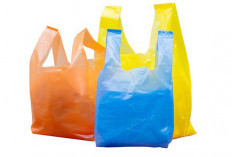 Plastik Sekali Pakai Dilarang Total Apa Dampaknya bagi Gaya Hidup Kita