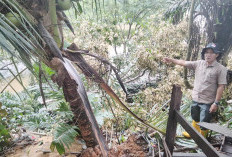 Longsor Mengancam Lima Rumah Di Arah Tiga