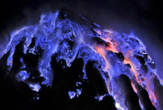 Melihat Keajaiban Blue Fire Kawah Ijen di Tengah Gelap Malam