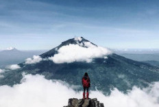 Menaklukkan Dinginnya Puncak, Panduan Antisipasi Hipotermia Saat Pendakian