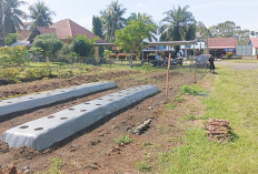 Bisa Dicontoh Warga, Polsek Ponsu Manfaatkan Pekarangan Kosong 