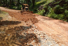 Iuran Rp20 Warga Sendang Mulyo Rawat Jalan Kabupaten 