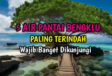 5 Pantai Terindah di Provinsi Bengkulu, Wajib Dikunjungi !