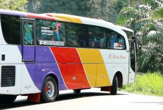 Mulai Terasa, Dampak Jalan Nasional Bengkulu – Sumbar Putus, Ongkos Travel Naik Dua Kali Lipat