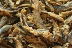 Lautan Kriuk, Rejeki Melimpah: Inovasi Keripik Kulit Ikan, Camilan Sehat dan Lezat yang Bikin Nagih!
