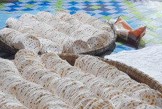 Program MBG Dongkrak Omzet UMKM di Mukomuko