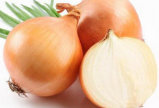 Sering Diabaikan, Ternyata Bawang Bombai Punya 5 Manfaat Kesehatan Ini