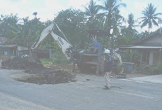 Usai Ditanami Pisang, Lubang di Jalinbar Mulai Diperbaiki