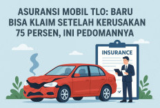 Asuransi Mobil TLO:  Baru Bisa Klaim Setelah Kerusakan 75 Persen, Ini Pedomannya   