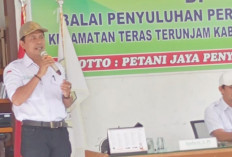 Penyuluh Teras Terunjam Dorong Petani Gunakan Pupuk Organik