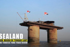 Sealand: Negara Mini Bekas Benteng Perang, Kebebasan di Atas Platfrom Besi