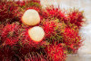 Hati-Hati! Tidak Semua Orang Boleh Makan Rambutan, Ini Daftar yang Harus Waspada