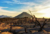 Papandayan, Pesona Kawah, Hutan Mati, dan Keindahan Alam yang Memikat