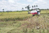 Petani Tanjung Alai Butuh Bantuan Alsintan